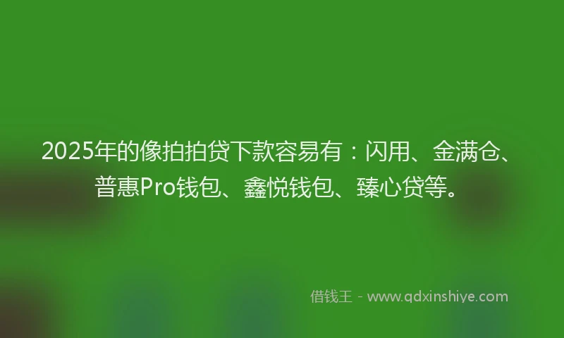 2025年的像拍拍贷下款容易有：闪用、金满仓、普惠Pro钱包、鑫悦钱包、臻心贷等。
