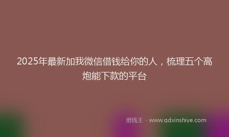 2025年最新加我微信借钱给你的人，梳理五个高炮能下款的平台
