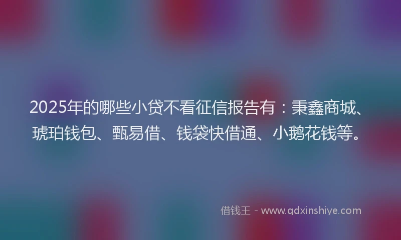 2025年的哪些小贷不看征信报告有：秉鑫商城、琥珀钱包、甄易借、钱袋快借通、小鹅花钱等。