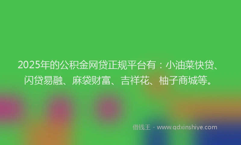 2025年的公积金网贷正规平台有：小油菜快贷、闪贷易融、麻袋财富、吉祥花、柚子商城等。