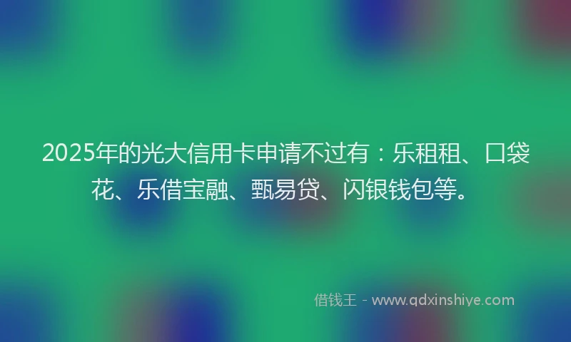 2025年的光大信用卡申请不过有：乐租租、口袋花、乐借宝融、甄易贷、闪银钱包等。