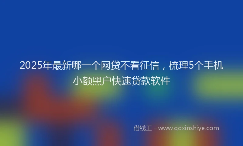 2025年最新哪一个网贷不看征信，梳理5个手机小额黑户快速贷款软件