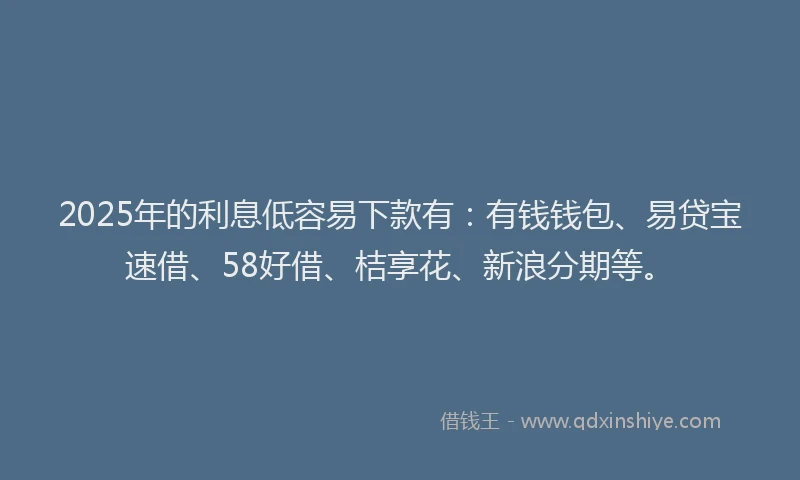 2025年的利息低容易下款有：有钱钱包、易贷宝速借、58好借、桔享花、新浪分期等。