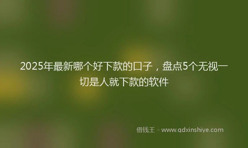 2025年最新哪个好下款的口子，盘点5个无视一切是人就下款的软件