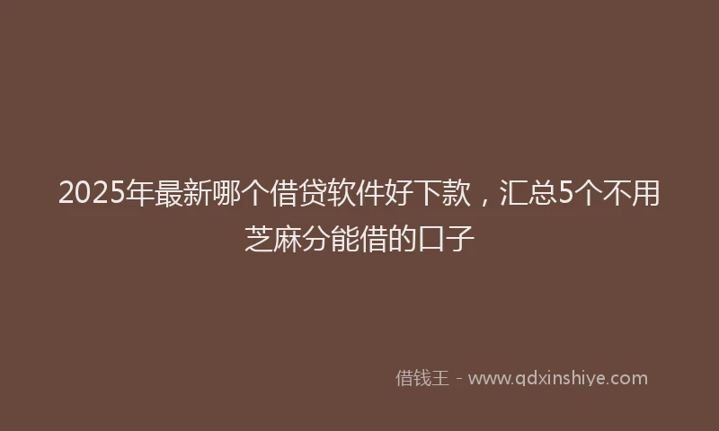2025年最新哪个借贷软件好下款，汇总5个不用芝麻分能借的口子