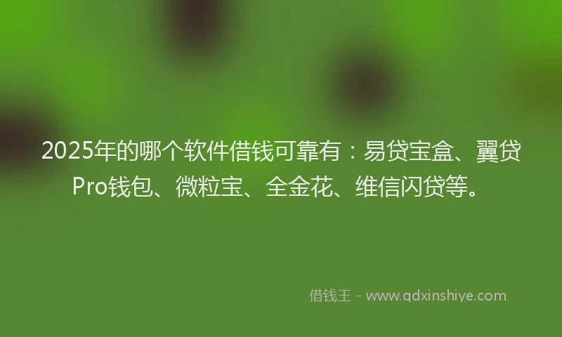 2025年的哪个软件借钱可靠有：易贷宝盒、翼贷Pro钱包、微粒宝、全金花、维信闪贷等。