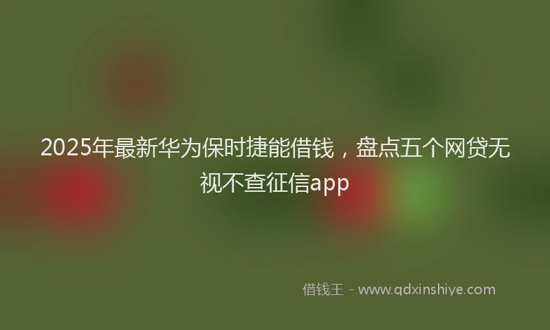 2025年最新华为保时捷能借钱，盘点五个网贷无视不查征信app
