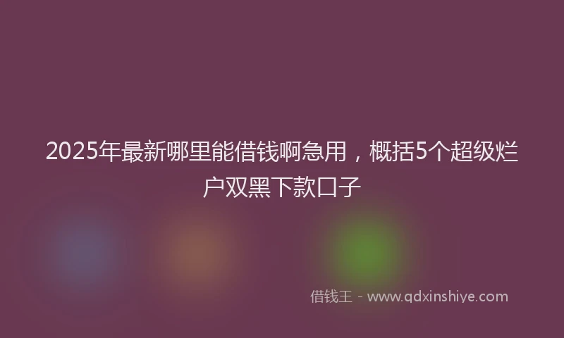 2025年最新哪里能借钱啊急用，概括5个超级烂户双黑下款口子