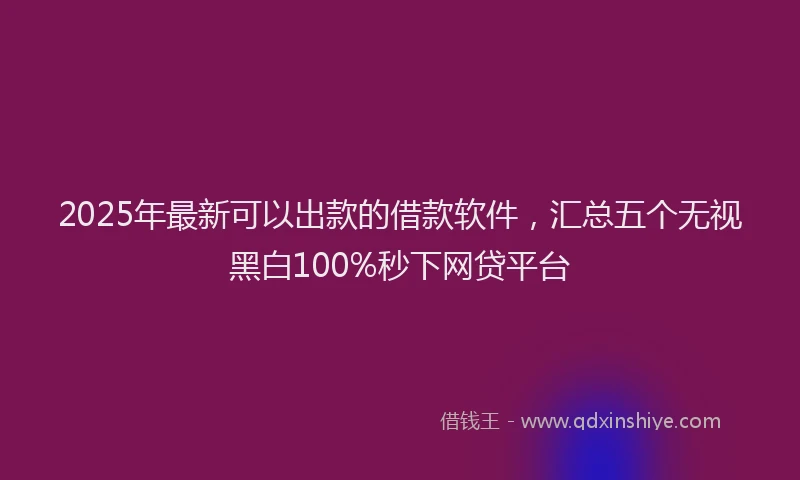 2025年最新可以出款的借款软件，汇总五个无视黑白100%秒下网贷平台