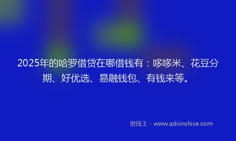 2025年的哈罗借贷在哪借钱有：哆哆米、花豆分期、好优选、易融钱包、有钱来等。