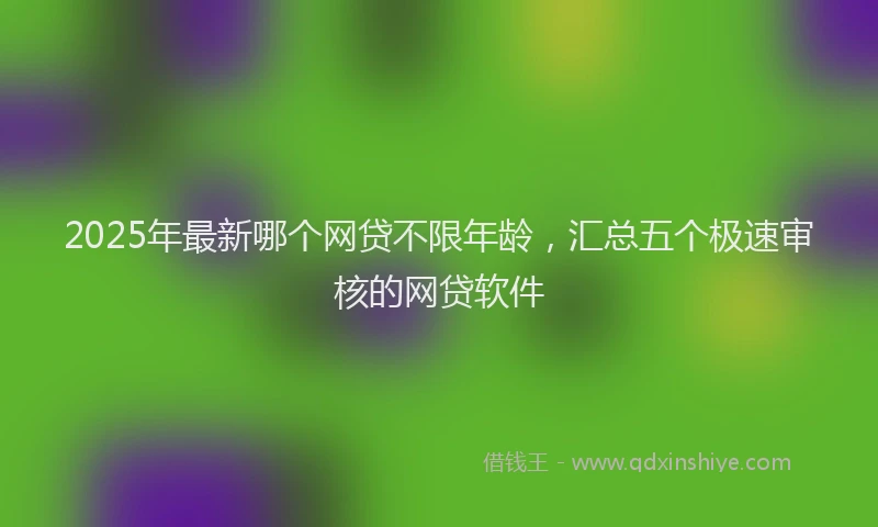 2025年最新哪个网贷不限年龄，汇总五个极速审核的网贷软件