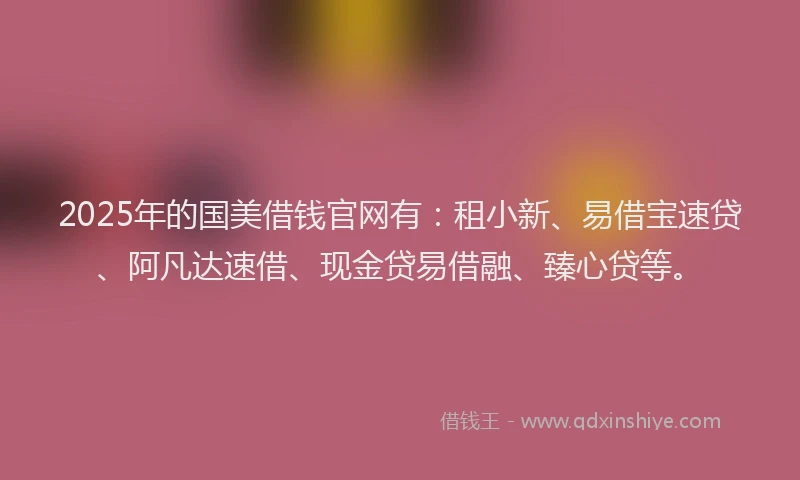 2025年的国美借钱官网有：租小新、易借宝速贷、阿凡达速借、现金贷易借融、臻心贷等。
