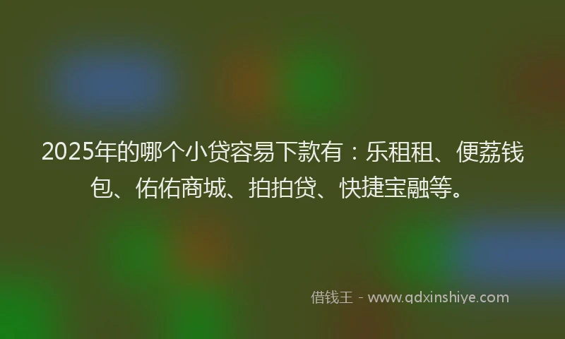 2025年的哪个小贷容易下款有：乐租租、便荔钱包、佑佑商城、拍拍贷、快捷宝融等。