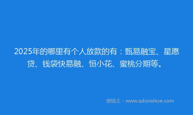 2025年的哪里有个人放款的有：甄易融宝、星愿贷、钱袋快易融、恒小花、蜜桃分期等。