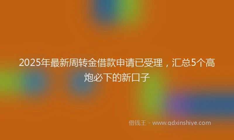 2025年最新周转金借款申请已受理，汇总5个高炮必下的新口子
