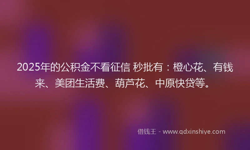 2025年的公积金不看征信 秒批有：橙心花、有钱来、美团生活费、葫芦花、中原快贷等。