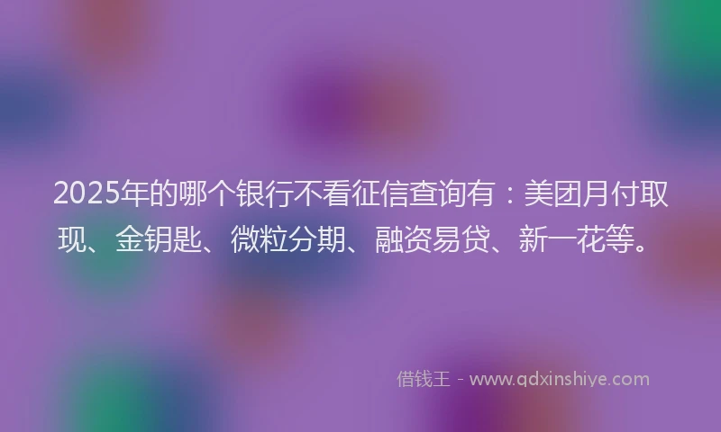 2025年的哪个银行不看征信查询有：美团月付取现、金钥匙、微粒分期、融资易贷、新一花等。