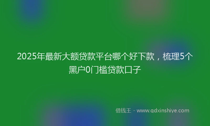 2025年最新大额贷款平台哪个好下款，梳理5个黑户0门槛贷款口子