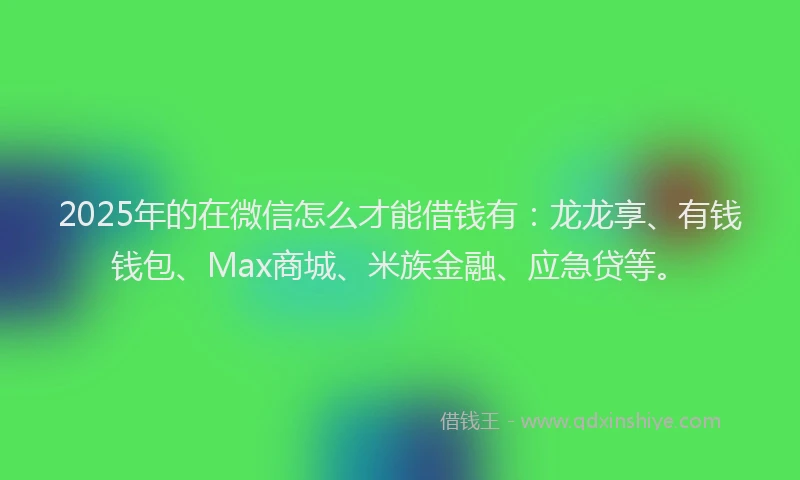 2025年的在微信怎么才能借钱有：龙龙享、有钱钱包、Max商城、米族金融、应急贷等。