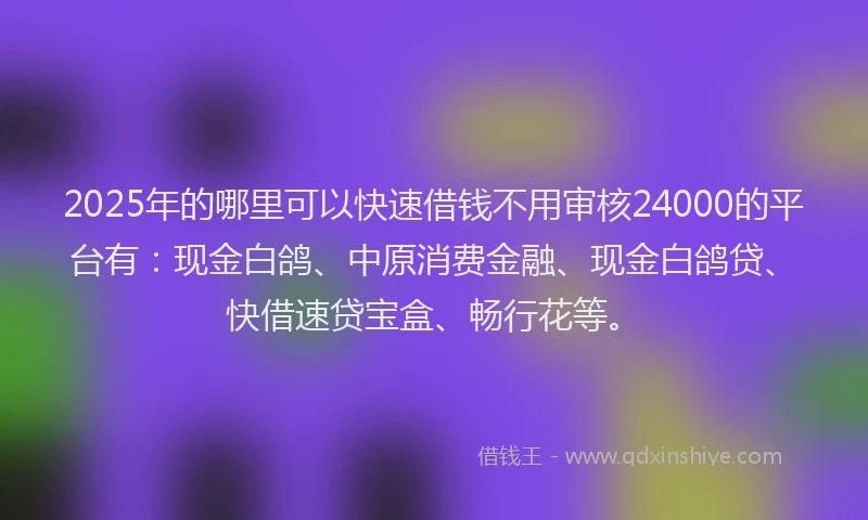 2025年的哪里可以快速借钱不用审核24000的平台有：现金白鸽、中原消费金融、现金白鸽贷、快借速贷宝盒、畅行花等。