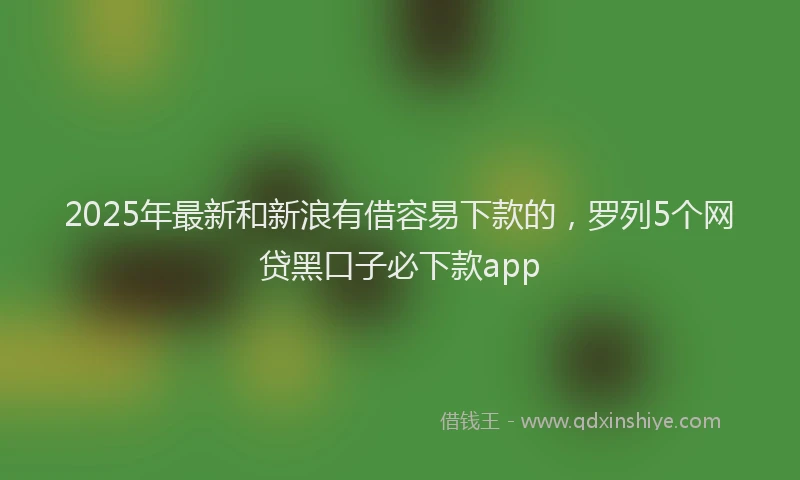 2025年最新和新浪有借容易下款的，罗列5个网贷黑口子必下款app