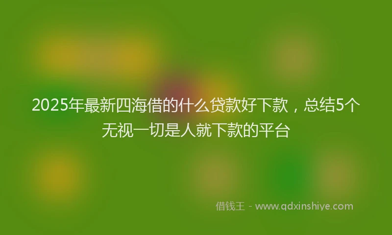2025年最新四海借的什么贷款好下款，总结5个无视一切是人就下款的平台