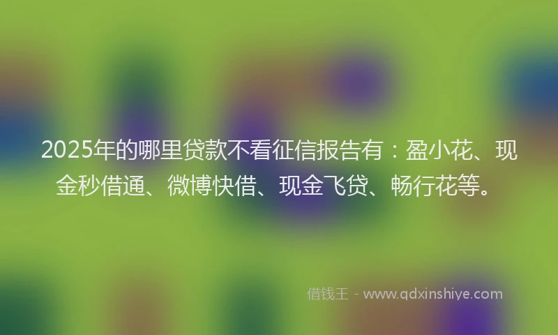 2025年的哪里贷款不看征信报告有：盈小花、现金秒借通、微博快借、现金飞贷、畅行花等。