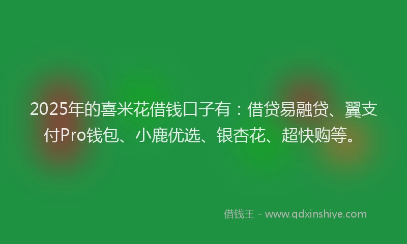 2025年的喜米花借钱口子有：借贷易融贷、翼支付Pro钱包、小鹿优选、银杏花、超快购等。