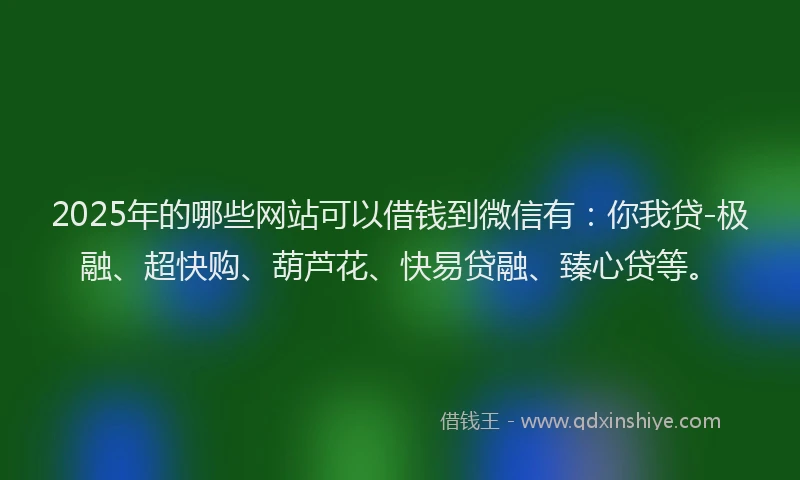 2025年的哪些网站可以借钱到微信有：你我贷-极融、超快购、葫芦花、快易贷融、臻心贷等。