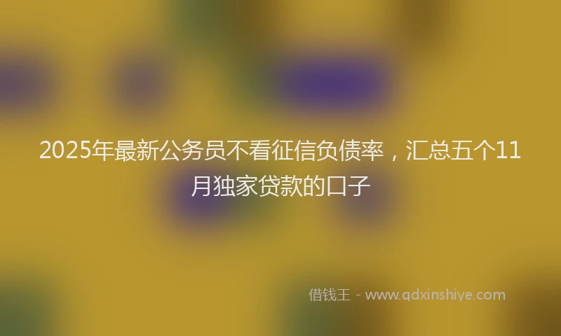 2025年最新公务员不看征信负债率，汇总五个11月独家贷款的口子