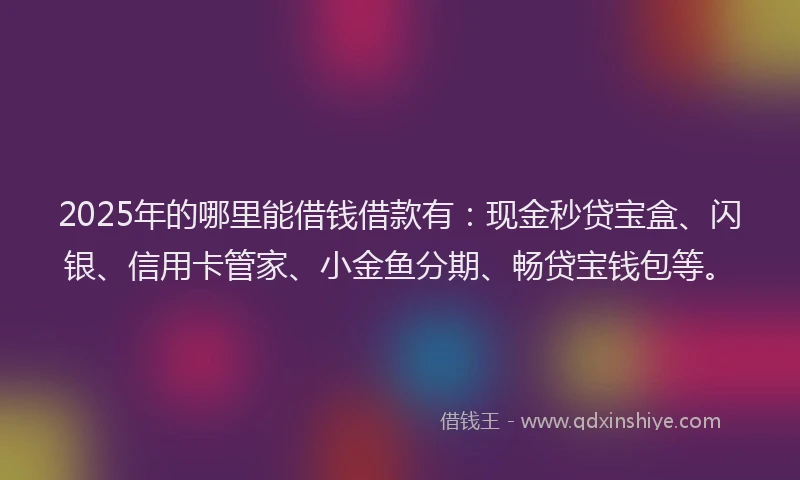 2025年的哪里能借钱借款有：现金秒贷宝盒、闪银、信用卡管家、小金鱼分期、畅贷宝钱包等。