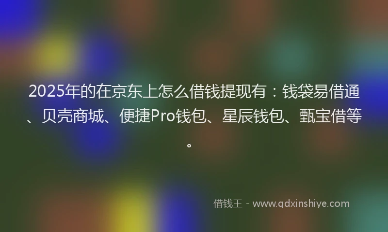 2025年的在京东上怎么借钱提现有：钱袋易借通、贝壳商城、便捷Pro钱包、星辰钱包、甄宝借等。