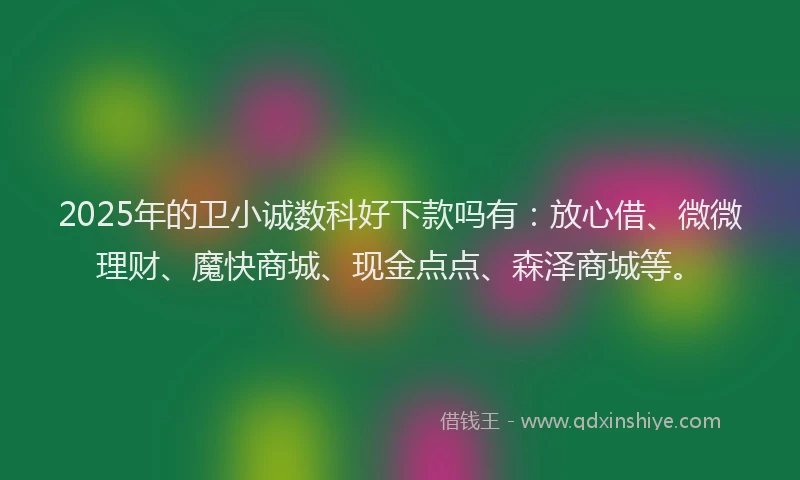 2025年的卫小诚数科好下款吗有：放心借、微微理财、魔快商城、现金点点、森泽商城等。