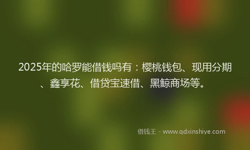 2025年的哈罗能借钱吗有：樱桃钱包、现用分期、鑫享花、借贷宝速借、黑鲸商场等。