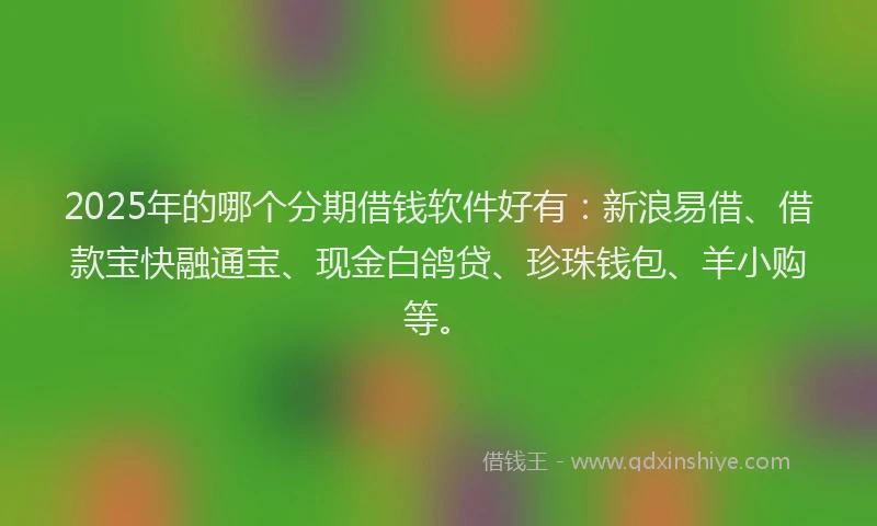 2025年的哪个分期借钱软件好有：新浪易借、借款宝快融通宝、现金白鸽贷、珍珠钱包、羊小购等。
