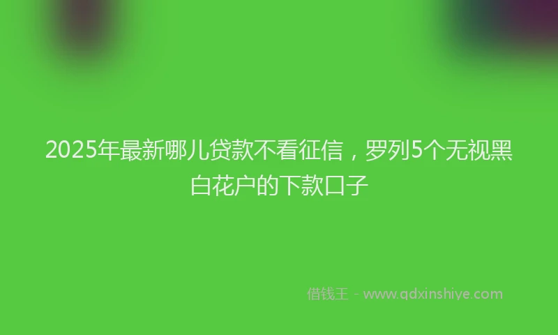 2025年最新哪儿贷款不看征信，罗列5个无视黑白花户的下款口子