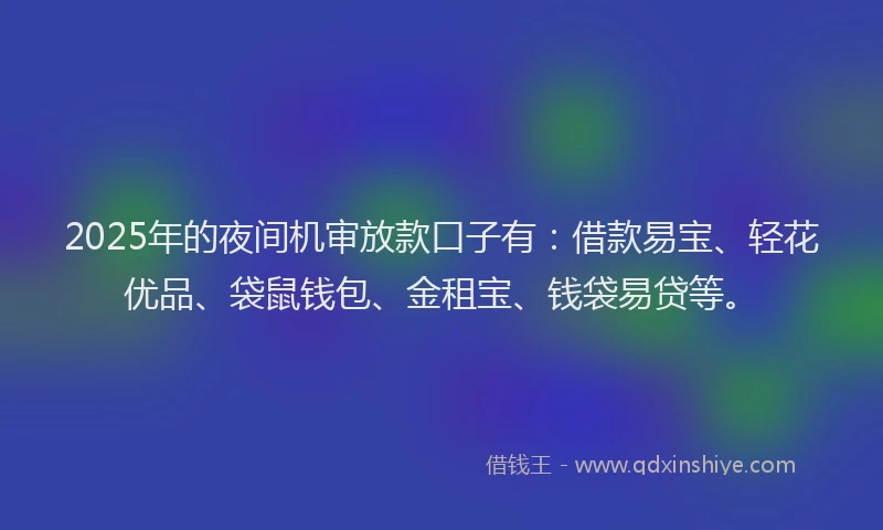 2025年的夜间机审放款口子有：借款易宝、轻花优品、袋鼠钱包、金租宝、钱袋易贷等。