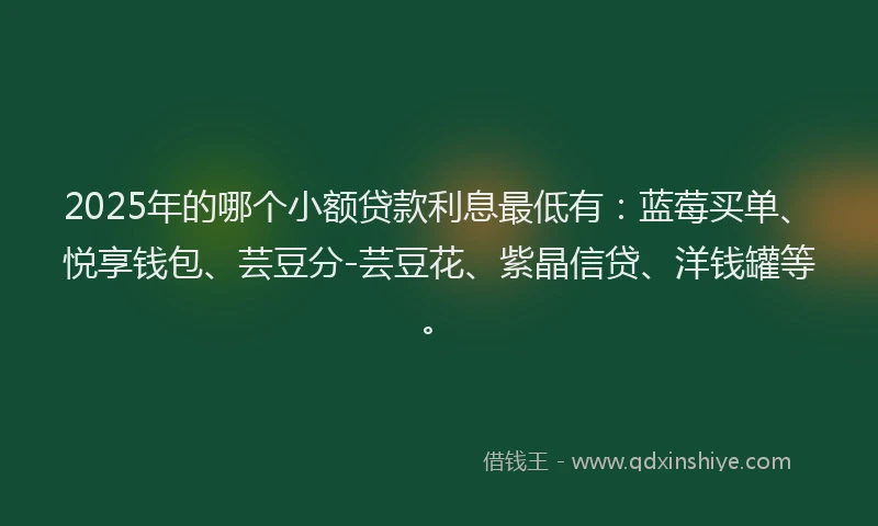 2025年的哪个小额贷款利息最低有：蓝莓买单、悦享钱包、芸豆分-芸豆花、紫晶信贷、洋钱罐等。