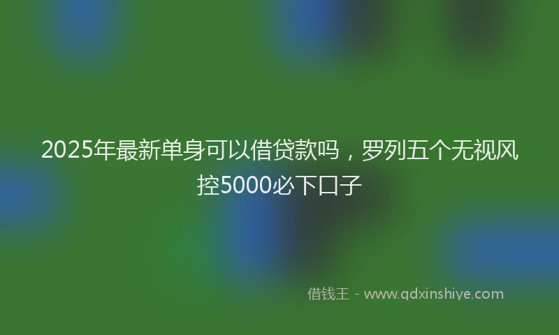 2025年最新单身可以借贷款吗，罗列五个无视风控5000必下口子