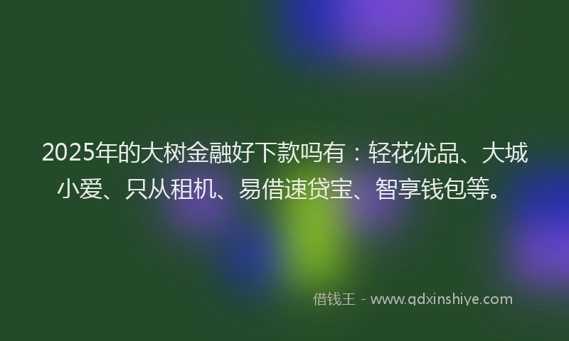 2025年的大树金融好下款吗有：轻花优品、大城小爱、只从租机、易借速贷宝、智享钱包等。