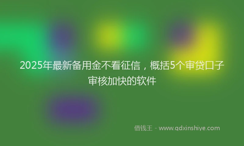 2025年最新备用金不看征信，概括5个审贷口子审核加快的软件