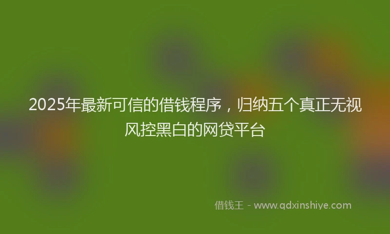 2025年最新可信的借钱程序，归纳五个真正无视风控黑白的网贷平台