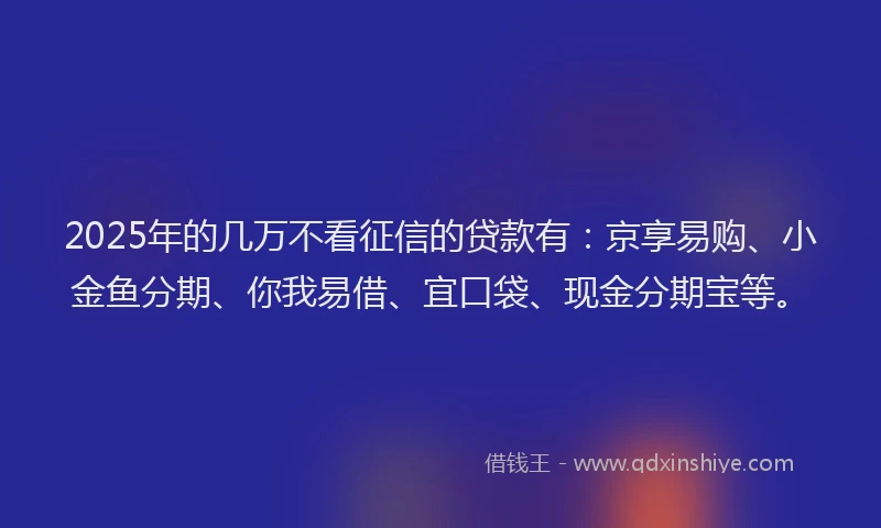 2025年的几万不看征信的贷款有：京享易购、小金鱼分期、你我易借、宜口袋、现金分期宝等。