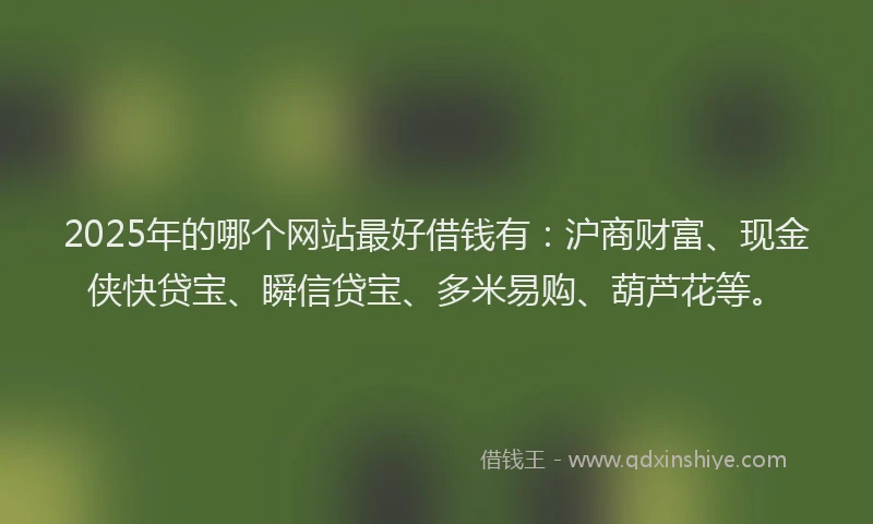 2025年的哪个网站最好借钱有：沪商财富、现金侠快贷宝、瞬信贷宝、多米易购、葫芦花等。