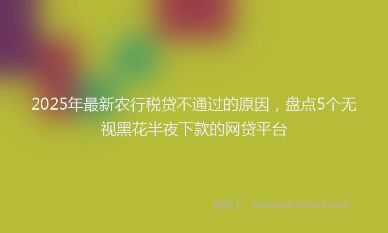 2025年最新农行税贷不通过的原因，盘点5个无视黑花半夜下款的网贷平台