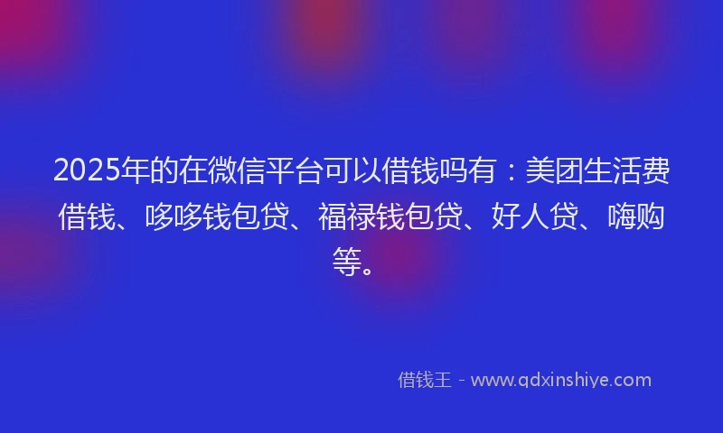 2025年的在微信平台可以借钱吗有：美团生活费借钱、哆哆钱包贷、福禄钱包贷、好人贷、嗨购等。
