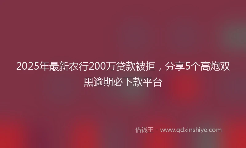 2025年最新农行200万贷款被拒，分享5个高炮双黑逾期必下款平台