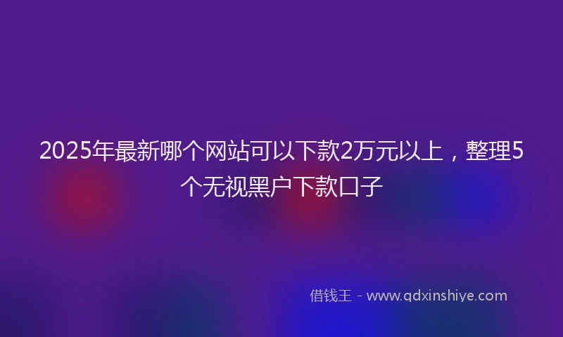 2025年最新哪个网站可以下款2万元以上，整理5个无视黑户下款口子