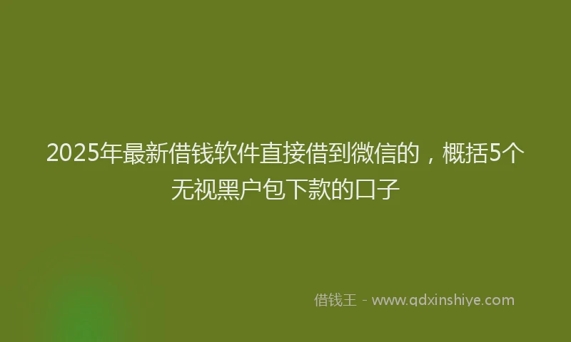 2025年最新借钱软件直接借到微信的，概括5个无视黑户包下款的口子