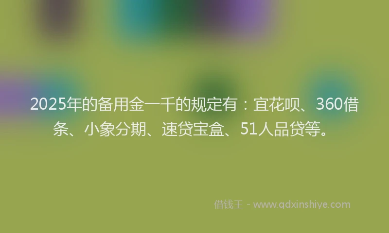 2025年的备用金一千的规定有：宜花呗、360借条、小象分期、速贷宝盒、51人品贷等。